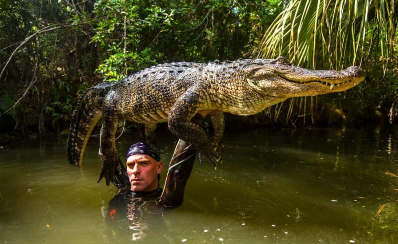 Miami: Wild Everglades Airboat Ride and Gator Encounters - Comparing This Tour with Similar Options