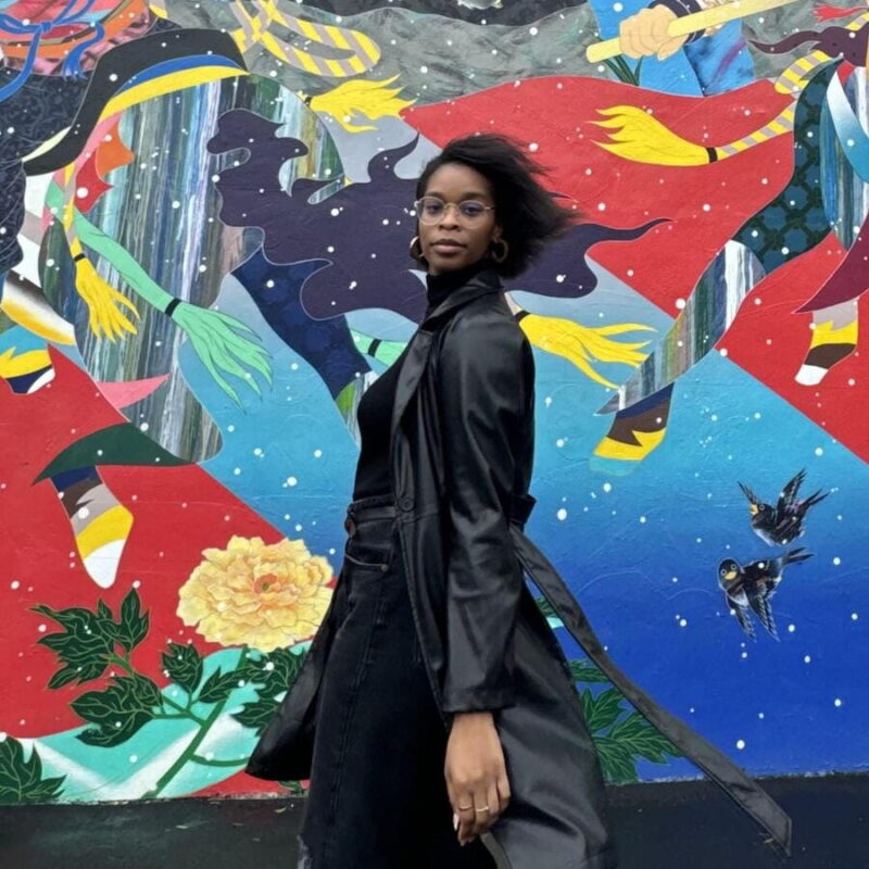 Miami: Wynwood Walls, Galleries, and Murals Guided Tour - Key Points