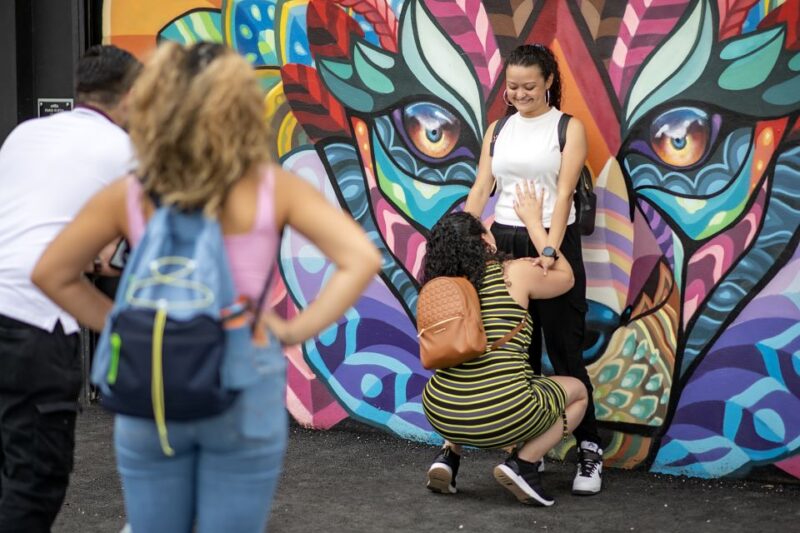 Miami: Wynwood Walls Skip-the-Line Ticket - Practical Details: Meeting Point and Accessibility