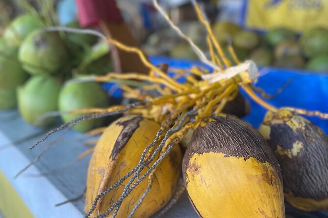 Miami's Most Authentic Walking Tour of Little Havana - Learning About Cubans’ Agricultural Heritage at Los Pinarenos