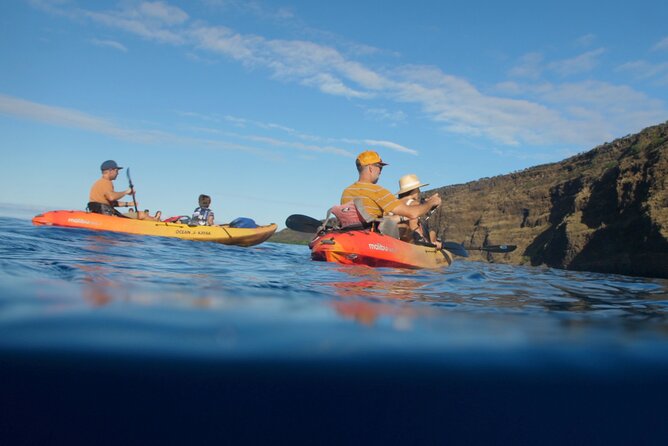 Midday Meander - Kealakekua Bay Kayak and Snorkel Adventure - Snorkeling Above Vibrant Coral Reefs