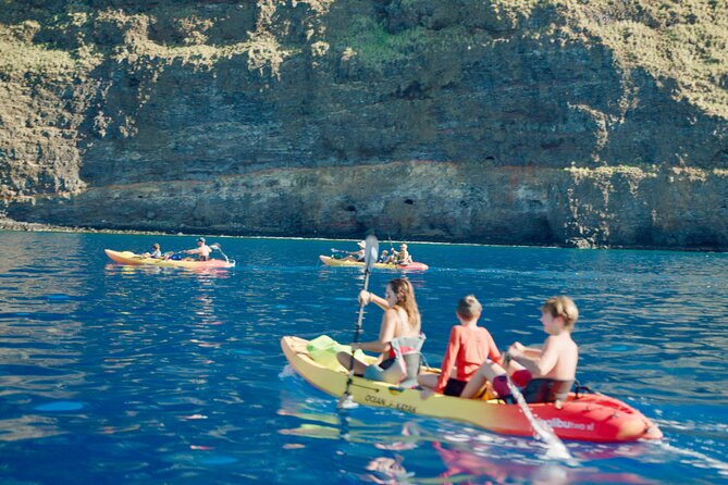 Midday Meander - Kealakekua Bay Kayak and Snorkel Adventure - A Relaxing Break with Snacks and Stories