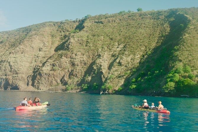 Midday Meander - Kealakekua Bay Kayak and Snorkel Adventure - Safety and Accessibility Notes