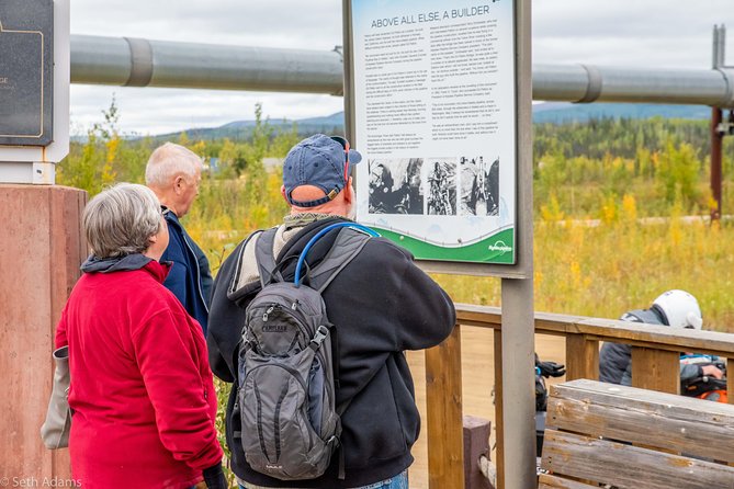 Midnight Sun Arctic Circle Drive Adventure - The Experience with Guides and Commentary