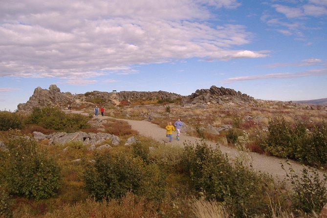 Midnight Sun Arctic Circle Drive Adventure - How the Tour Compares to Other Fairbanks Attractions