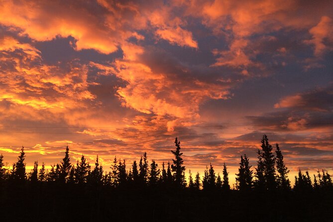 Midnight Sun ATV Adventure 2.5 Hour Tour - Explore Denali’s Wilderness Under the Midnight Sun