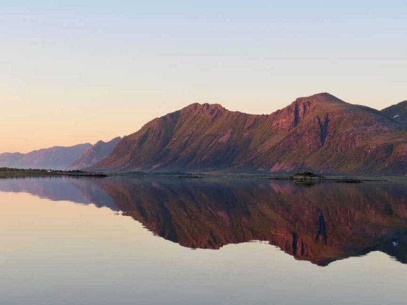 Midnight sun safari - Wildlife Encounters: Sea Eagles, Seals, Puffins, and Whales