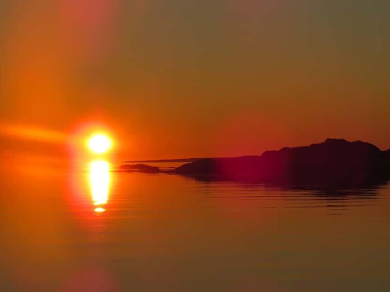 Midnight sun safari - The Guide and the Overall Experience