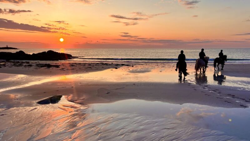 Midnight sun tour - The Ride: Gentle Climb and Stunning Views