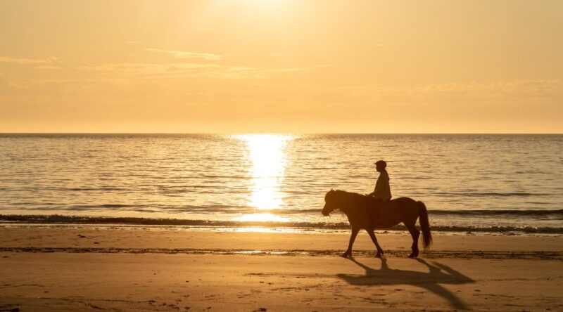 Midnight sun tour - What’s Included and What to Bring