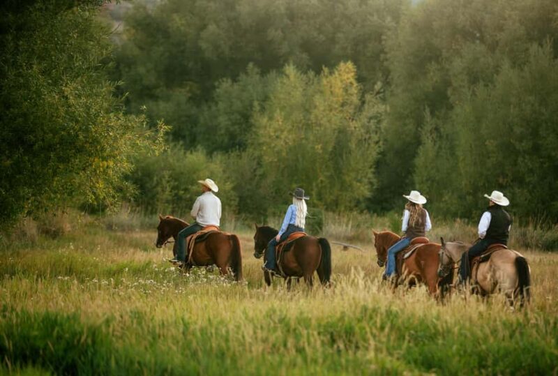 Midway, Utah: Horseback Riding Tour with Guide - Key Points
