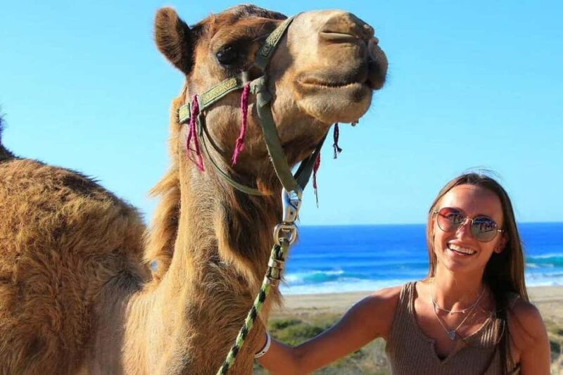 Migrino Beach Camel Ride with Lunch, Photos, & Drinks - Safety Briefing and Group Size for an Intimate Experience