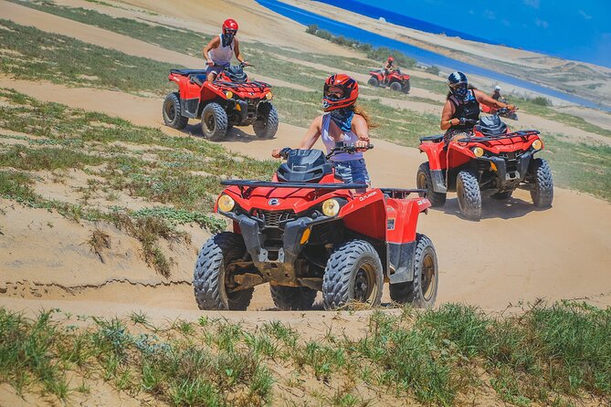 Migriño Beach & Desert ATV Tour in Cabo - The Challenges and Criticisms Reported