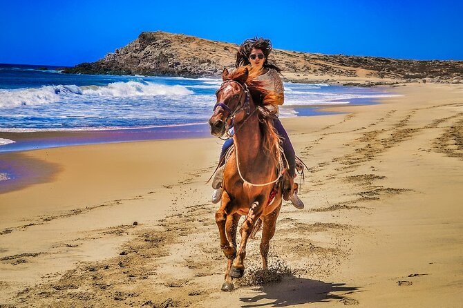 Migriño Beach Horseback Riding Experience - The Cost Breakdown and Additional Fees