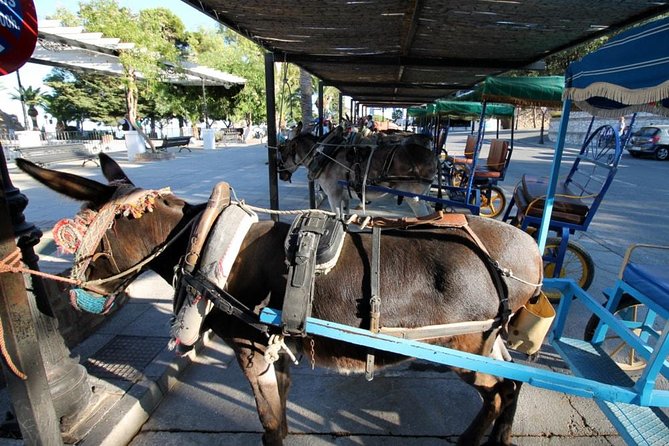 Mijas Private Walking Tour - Tour Duration and Pacing