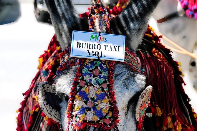 Mijas Private Walking Tour - Accessibility and Suitability