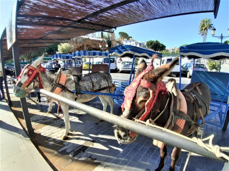 Mijas Pueblo: Private trip from Costa del Sol - Flexible Free Time for Shopping and Relaxation