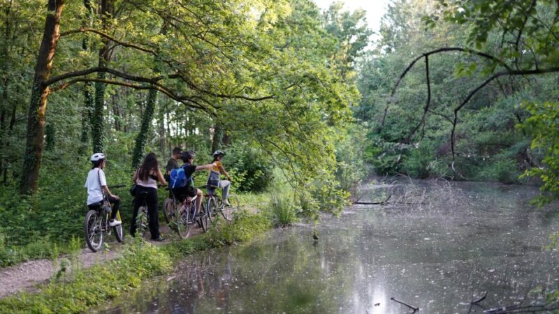 Milan: Bike Tour with Picnic on the turtle lake - From Trenno to Milan’s Green Retreats