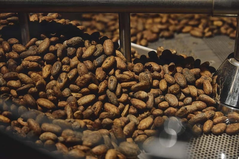 Milan: Enrico Rizzi Chocolate Factory Tour with tasting - Key Points