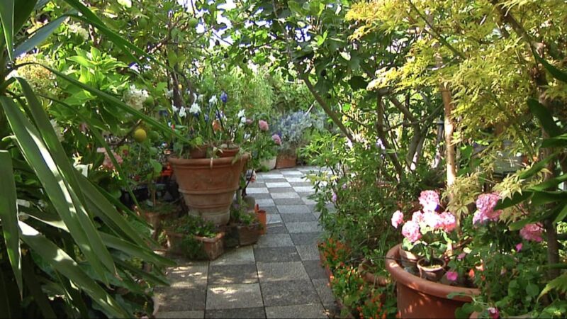 Milan: Fresh Pasta & Tiramisù Class in a Glamorous Home - Creating the Perfect Tiramisù in a Homely Setting