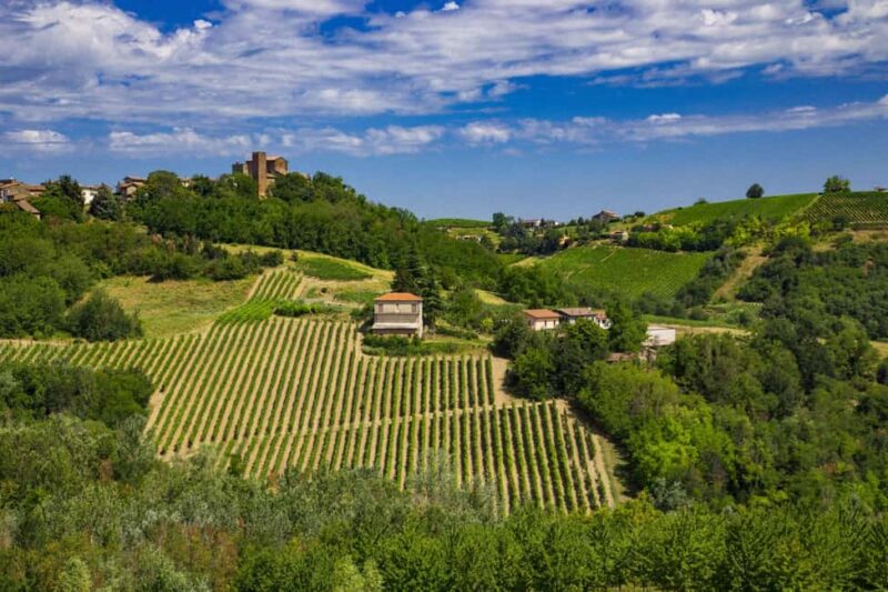 Milan, Oltrepò Winter Time: Craft & Bottle Your Own Wine - Wine Tasting in Italy’s Pinot Nero Capital