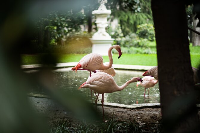 Milan Private Sightseeing Tour for Kids and Families with Local Guide - Customization and Personal Attention