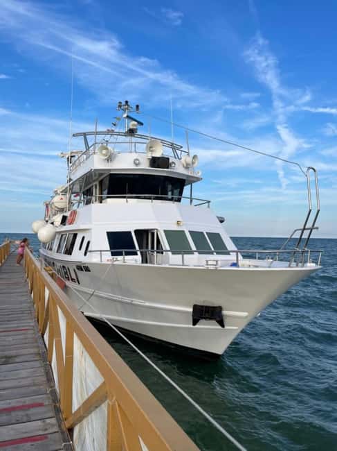 Milano Marittima: Riviera Romagnola Half-Day Boat Tour - Explore the Adriatic Coast from Milano Marittima on a Half-Day Boat Tour