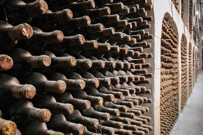 Milestii Mici Underground Winery Tour INCLUDING Wine tasting - Final Thoughts: Is This Tour Right for You?