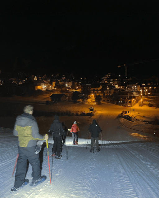Milky Way: night snowshoe hike with a typical dinner in a mountain hut - Key Points