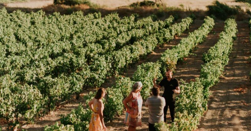 Milos Island: Kostantakis Winery Wine Tasting Experience - Meet the Family and Hear Their Stories