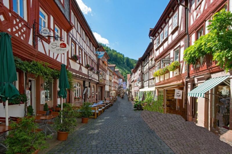 Miltenberg - Private Walking Tour - Visiting the Old Town Hall and Flood Markings