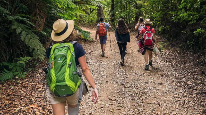 Mimosa Valley Trail: Explore Maroços - Key Points