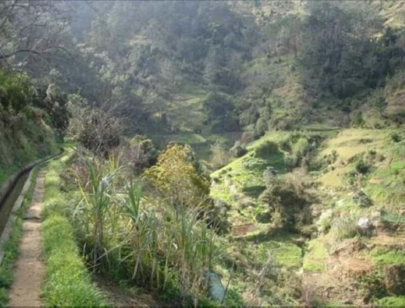 Mimosa Valley Trail: Explore Maroços - So, Who Will Enjoy the Mimosa Valley Trail?