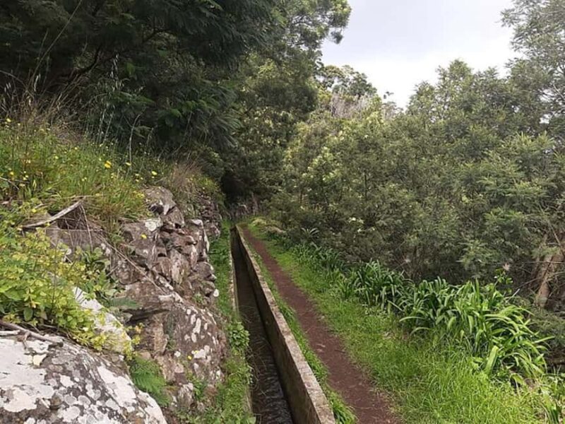 Mimosa Valley Trail: Explore Maroços - Final Thoughts on the Mimosa Valley Trail Experience