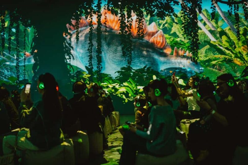 MINA Museum of Immersive New Art, Bucharest - Key Points