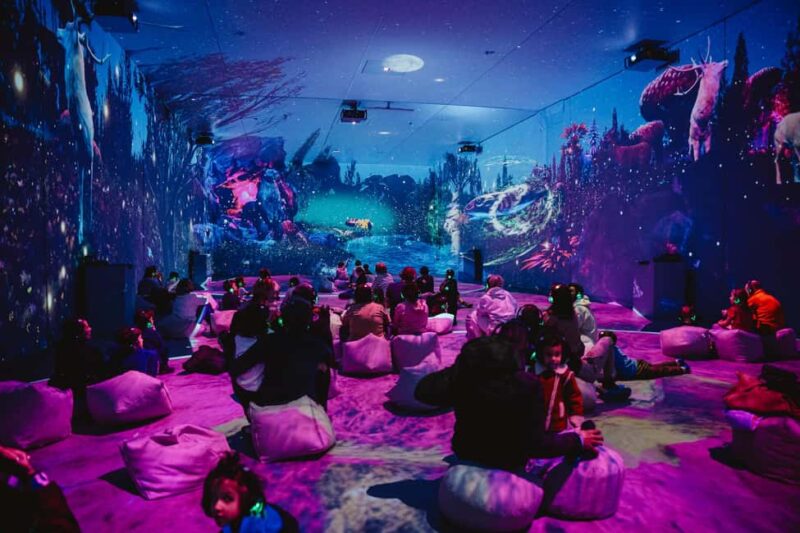 MINA Museum of Immersive New Art, Bucharest - Who Will Most Appreciate the MINA Experience