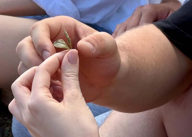 Mindful Tea Ceremony in Hidden Nature of Madeira - What to Bring for Your Tea Experience