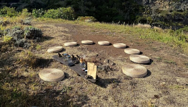 Mindful Tea Ceremony in Hidden Nature of Madeira - The Unique Value of This Madeira Tea Tour