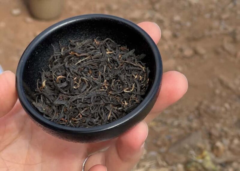 Mindful Tea Ceremony in Hidden Nature of Madeira - Who Will Benefit Most from This Experience