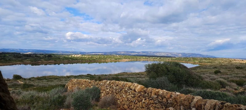 Mindfulness in Vendicari: discover the reserve through all your senses - Snorkeling and Birdwatching for Close Encounters with Nature