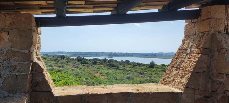 Mindfulness in Vendicari: discover the reserve through all your senses - Practical Details: What to Bring and How to Prepare