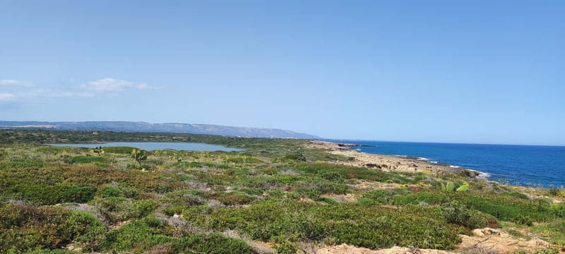 Mindfulness in Vendicari: discover the reserve through all your senses - Highlights of the Certified Guide-Led Activities