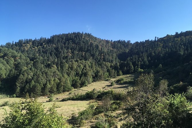 Mineral del Monte Hidalgo Mountain Bike Tour - Final Thoughts on the Mineral del Monte Hidalgo Mountain Bike Tour