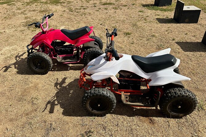 Mini ATVs and Farm Animal Experience - Key Points