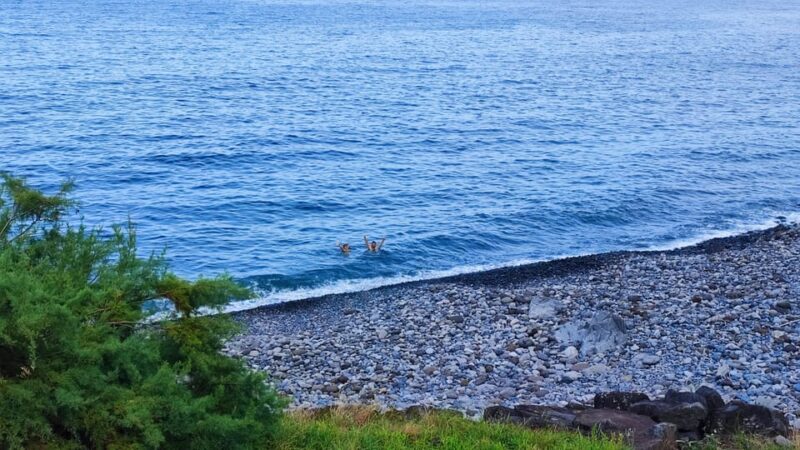 Mini Tour-Trail PR02 São Jorge - Serra Topo - Fajã dos Vimes - Crossing the Incense Tree Forest and Old Staircase