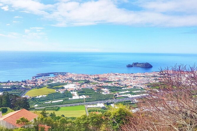 Minibus  Laketour  Furnas  Full Day (Shared) - Visiting the Vieira Ceramic Factory in Lagoa