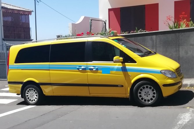 Minibus Transfer: Madeira Airport - Funchal - Service Quality and Guest Experiences