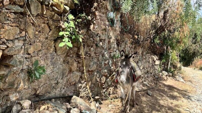 Mining Hike in Guanajuato: Mineral de la Luz and its Veins - Key Points