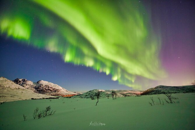 Minivan Northern Lights excursion (8 guests per minivan) - Comfort and Equipment Included