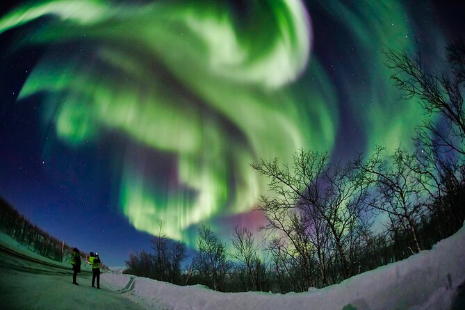Minivan Northern Lights excursion (8 guests per minivan) - Comparing This Tour to Other Options